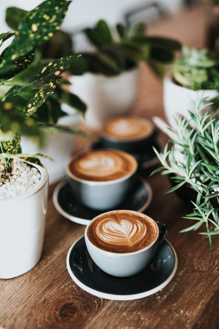 Cafés & HoReCa