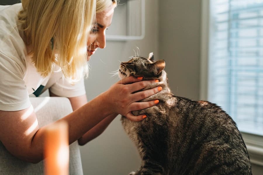 Vets & services